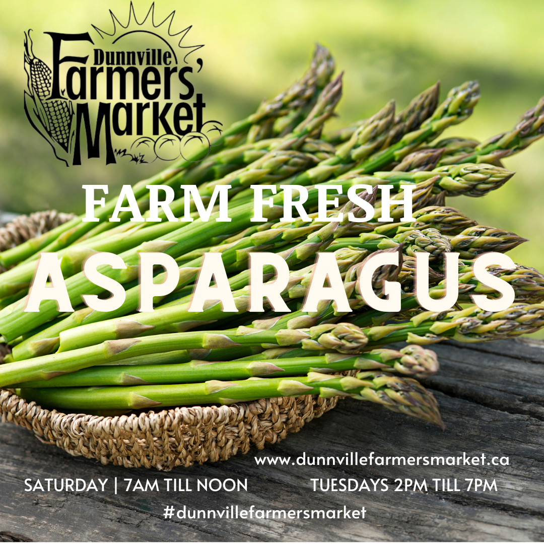 Green And White Modern Farmers Market Instagram Post (11)